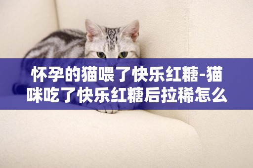 懷孕的貓喂了快樂紅糖-貓咪吃了快樂紅糖后拉稀怎么辦