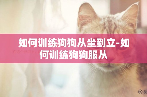 如何訓練狗狗從坐到立-如何訓練狗狗服從