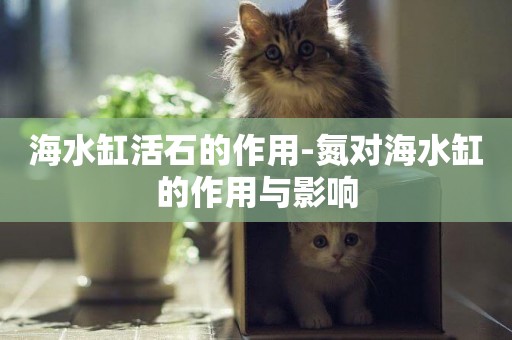 海水缸活石的作用-氮對海水缸的作用與影響
