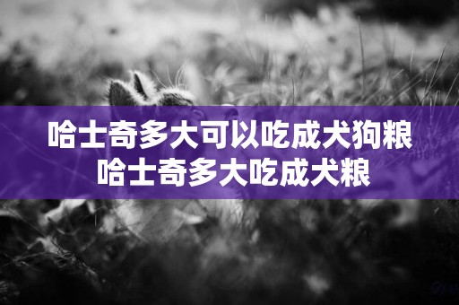 哈士奇多大可以吃成犬狗糧 哈士奇多大吃成犬糧