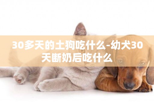 30多天的土狗吃什么-幼犬30天斷奶后吃什么
