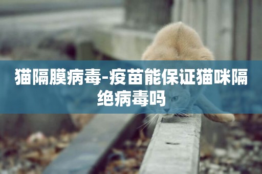 貓隔膜病毒-疫苗能保證貓咪隔絕病毒嗎