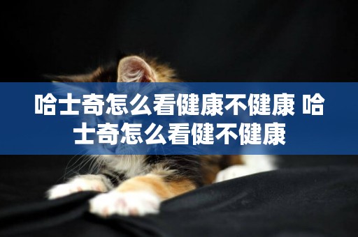 哈士奇怎么看健康不健康 哈士奇怎么看健不健康