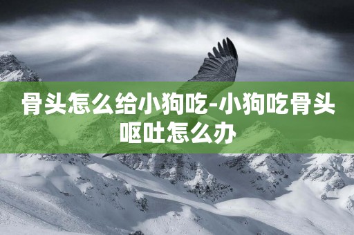 骨頭怎么給小狗吃-小狗吃骨頭嘔吐怎么辦