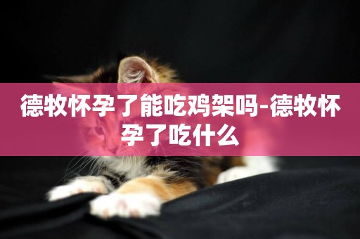 德牧懷孕了能吃雞架嗎-德牧懷孕了吃什么