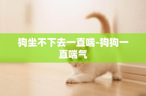 狗坐不下去一直喘-狗狗一直喘氣