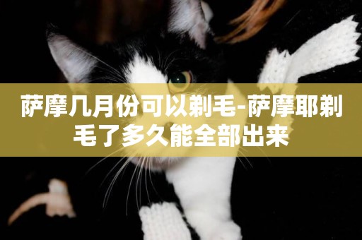 薩摩幾月份可以剃毛-薩摩耶剃毛了多久能全部出來