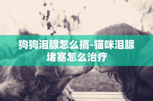 狗狗淚腺怎么搞-貓咪淚腺堵塞怎么治療