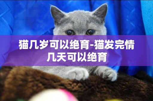 貓幾歲可以絕育-貓發完情幾天可以絕育