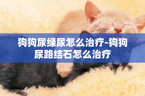 狗狗尿綠尿怎么治療-狗狗尿路結石怎么治療