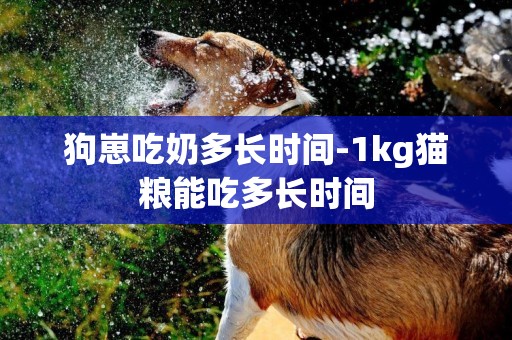 狗崽吃奶多長時間-1kg貓糧能吃多長時間