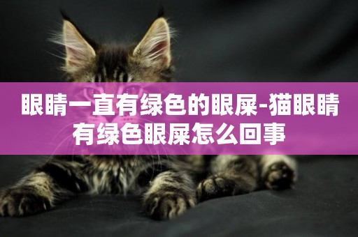 眼睛一直有綠色的眼屎-貓眼睛有綠色眼屎怎么回事