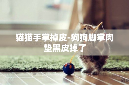 貓貓手掌掉皮-狗狗腳掌肉墊黑皮掉了