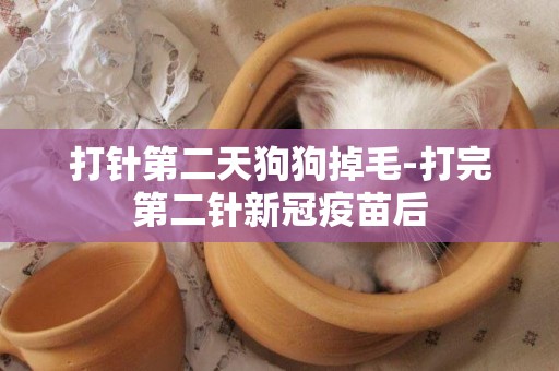 打針第二天狗狗掉毛-打完第二針新冠疫苗后