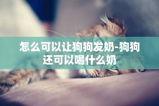 怎么可以讓狗狗發奶-狗狗還可以喝什么奶