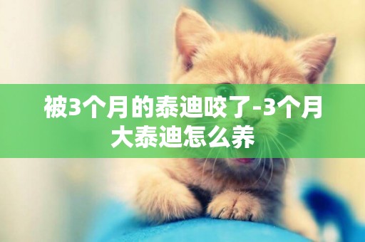 被3個月的泰迪咬了-3個月大泰迪怎么養
