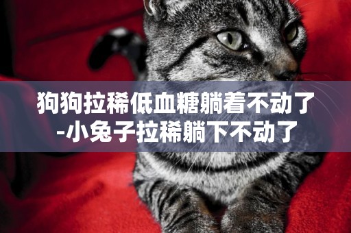 狗狗拉稀低血糖躺著不動了-小兔子拉稀躺下不動了