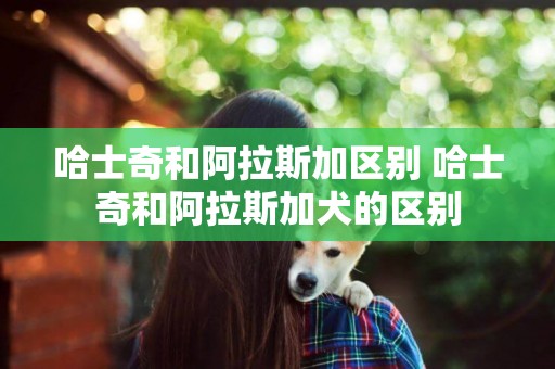 哈士奇和阿拉斯加區別 哈士奇和阿拉斯加犬的區別