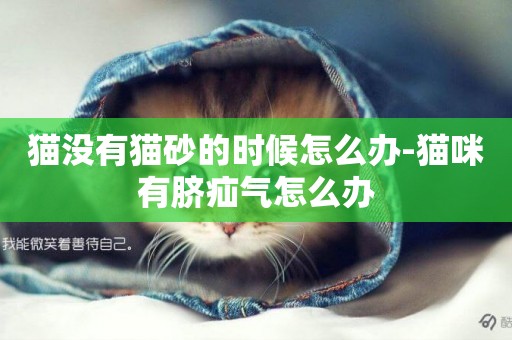 貓沒有貓砂的時候怎么辦-貓咪有臍疝氣怎么辦