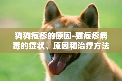 狗狗皰疹的原因-貓皰疹病毒的癥狀、原因和治療方法