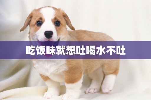 吃飯味就想吐喝水不吐