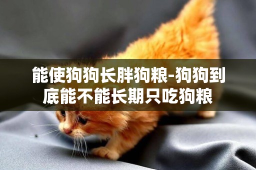 能使狗狗長胖狗糧-狗狗到底能不能長期只吃狗糧