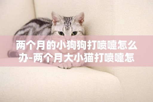 兩個月的小狗狗打噴嚏怎么辦-兩個月大小貓打噴嚏怎么辦
