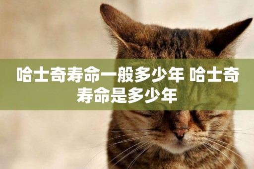 哈士奇壽命一般多少年 哈士奇壽命是多少年