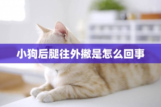 小狗后腿往外撇是怎么回事