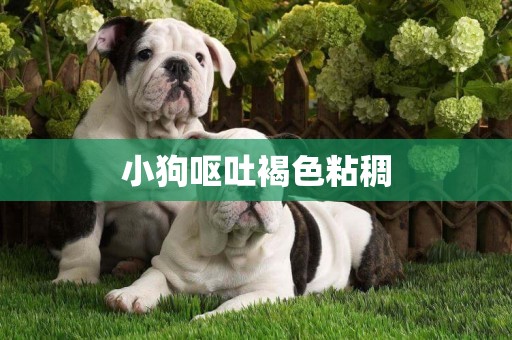 小狗嘔吐褐色粘稠
