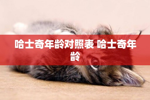哈士奇年齡對照表 哈士奇年齡