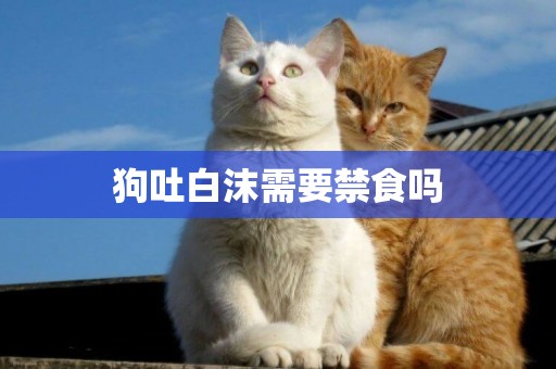 狗吐白沫需要禁食嗎