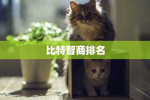 比特智商排名