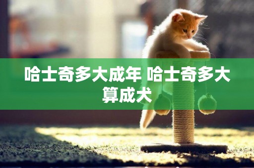 哈士奇多大成年 哈士奇多大算成犬