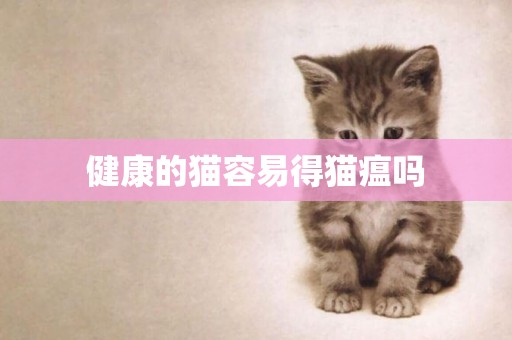 健康的貓容易得貓瘟嗎