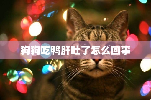 狗狗吃鴨肝吐了怎么回事