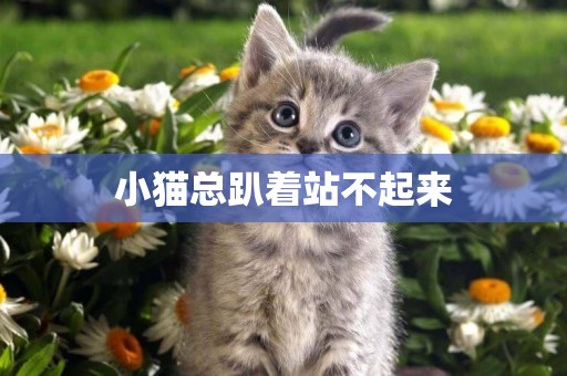 小貓總趴著站不起來