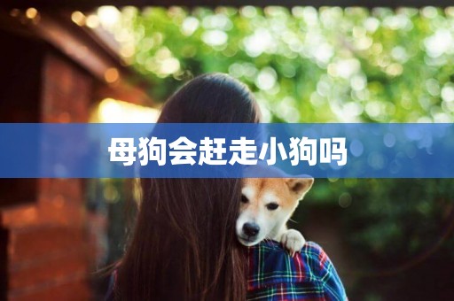 母狗會趕走小狗嗎