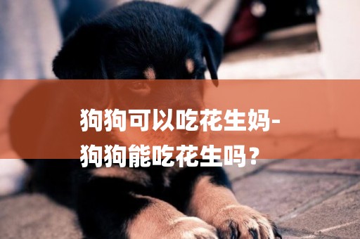 狗狗可以吃花生媽-
狗狗能吃花生嗎？