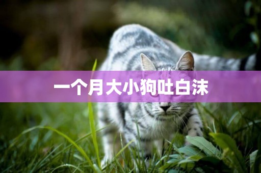 一個月大小狗吐白沫