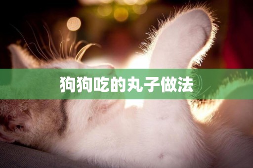 狗狗吃的丸子做法