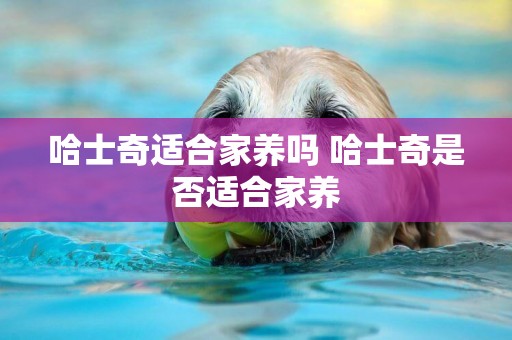 哈士奇適合家養嗎 哈士奇是否適合家養