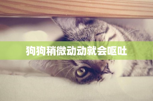 狗狗稍微動動就會嘔吐