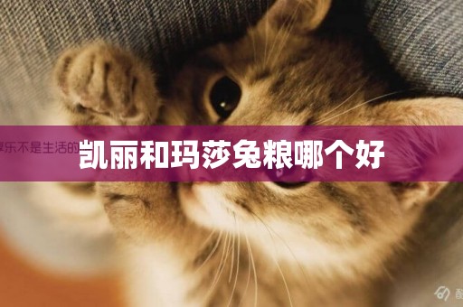 凱麗和瑪莎兔糧哪個好