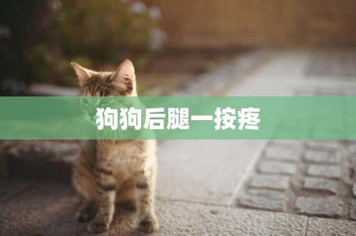 狗狗后腿一按疼