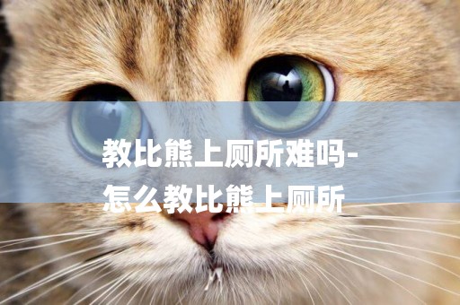 教比熊上廁所難嗎-
怎么教比熊上廁所