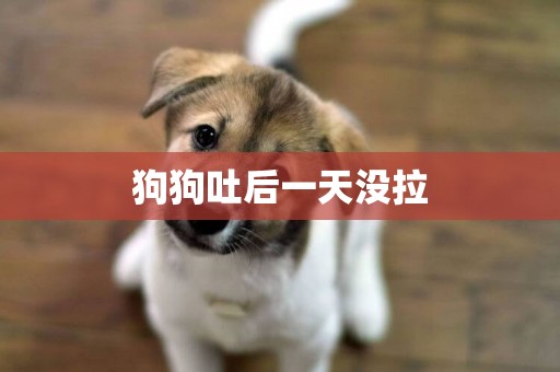 狗狗吐后一天沒拉