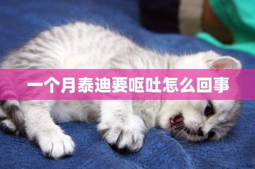 一個月泰迪要嘔吐怎么回事