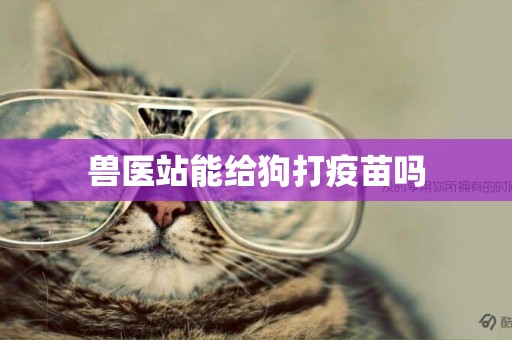 獸醫站能給狗打疫苗嗎