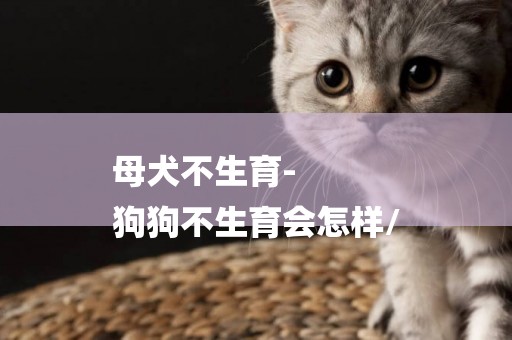 母犬不生育-
狗狗不生育會怎樣/